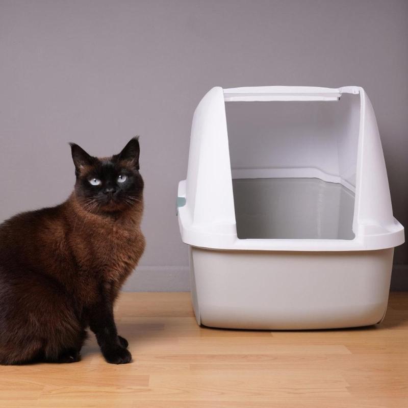 Tappetino Comodo per Lettiera Automatica Resiste ad Acqua Polvere Graffi Manutenzione Semplice Vaschetta Liner per Lettiera Gatti