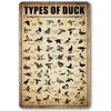 Type Of Duck Tin Sign Duck Hunting Decor Mallard Ducks Knowledge Metal Signs Vintage Duck Hunting Decorations For Home Kitchen Bathroom Duck Wall Art