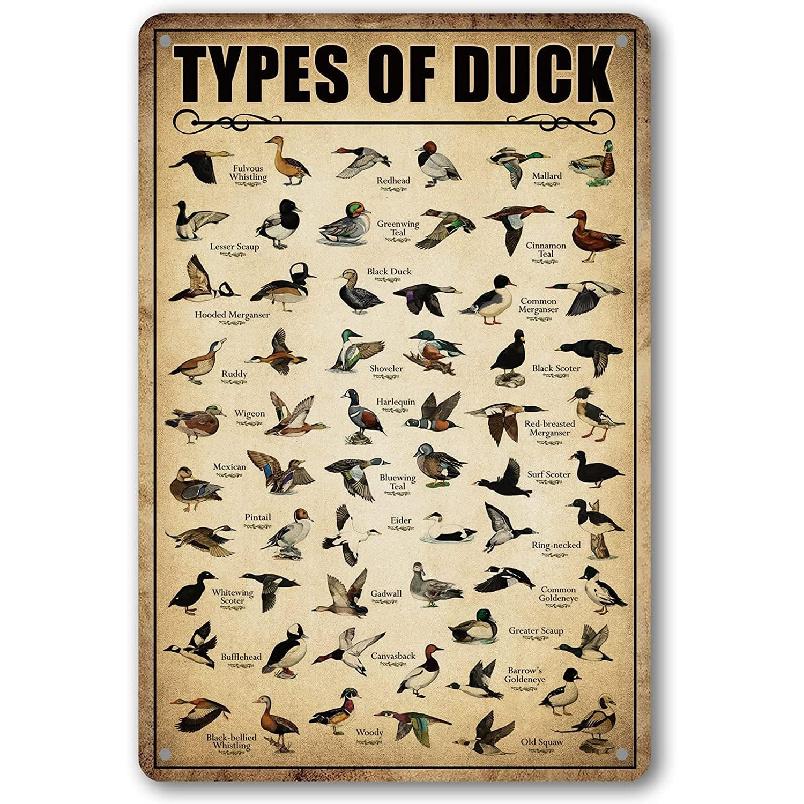 Type Of Duck Tin Sign Duck Hunting Decor Mallard Ducks Knowledge Metal Signs Vintage Duck Hunting Decorations For Home Kitchen Bathroom Duck Wall Art
