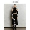 Heco Phoenix Cloud New Chinese Style Top and Skirt Set