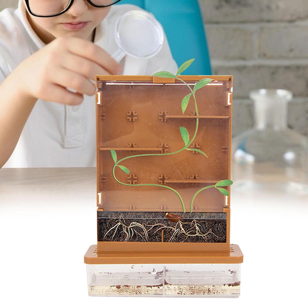 Science Toy Plant Grow Maze Kits, Preschool Experiments Planting Growing Observe Fun Educational