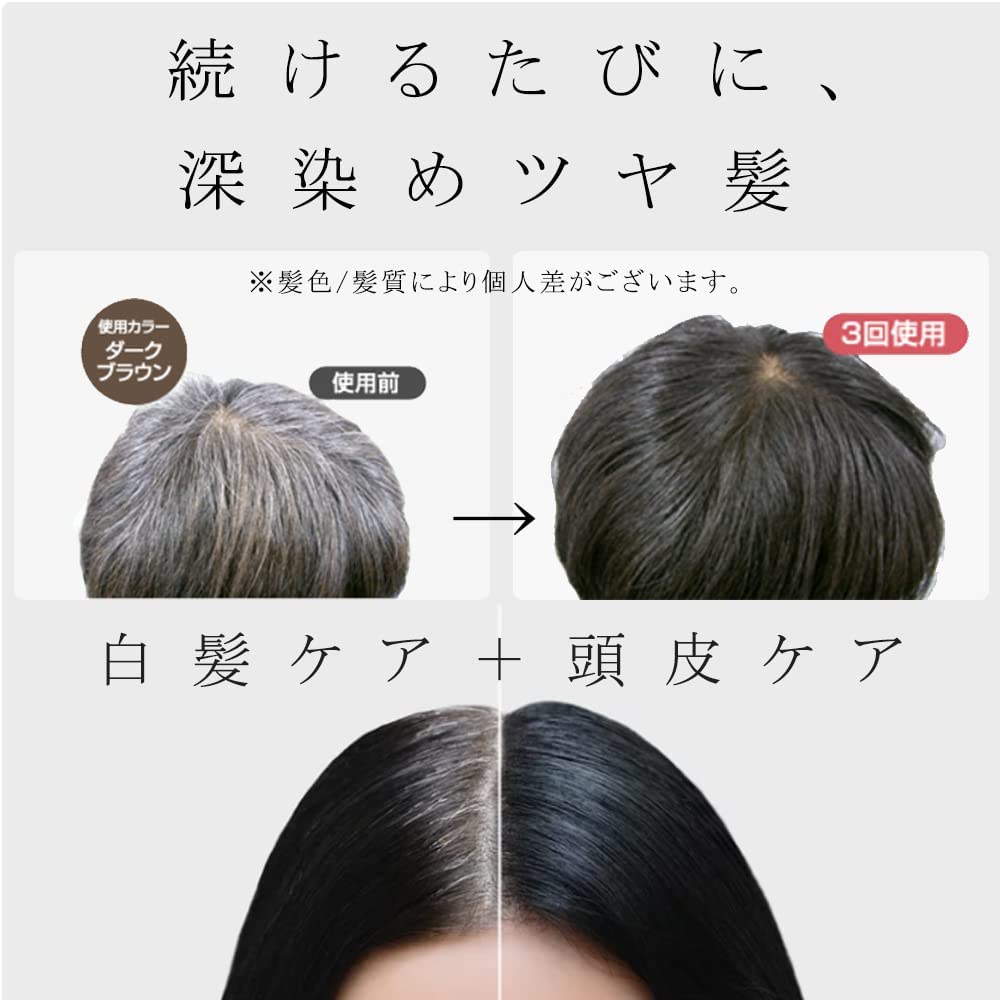 Refine Gray Hair Dye Head Spa Color Treatment R3 300g Hair Color (Light Brown)