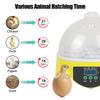 Incubator pentru Păsări Găină Rață Porumbel Păsări de Curte Incubator Temperatură Digitală Reglabilă Mini Incubator Ou Clocitor Ou Automat 16.5 * 17.5cm