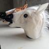 1 Pièce Animal Cheval Masque de Terreur Décoration Bricolage Masque Tête de Cheval Costume Cosplay Fête Drôle Halloween Coiffure