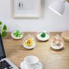 Terrario a Sfera in Vetro da Appendere Portacandele a Te Light Vaso per Succulente Appendi per Casa Matrimonio Festa Decorazione Interna Esterna