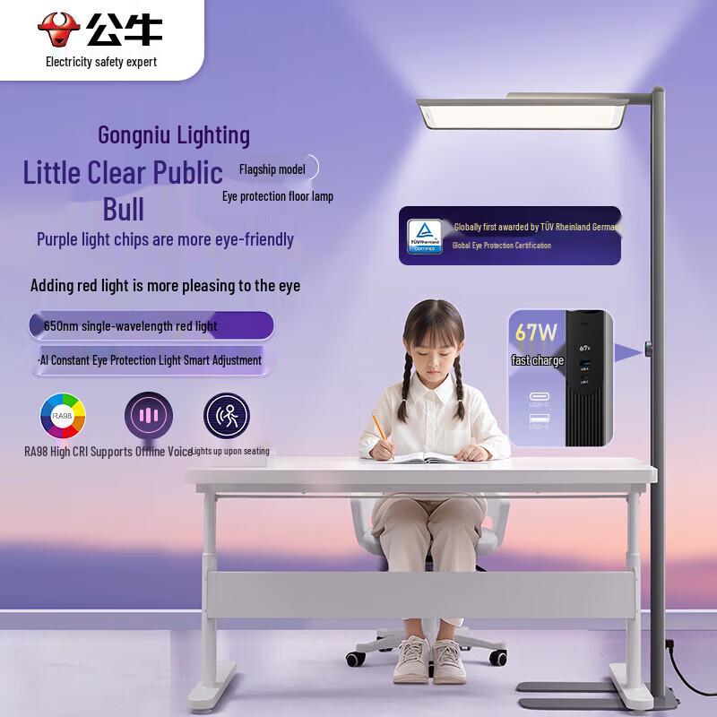 BULL Full-Spectrum Eye-Care Floor Lamp