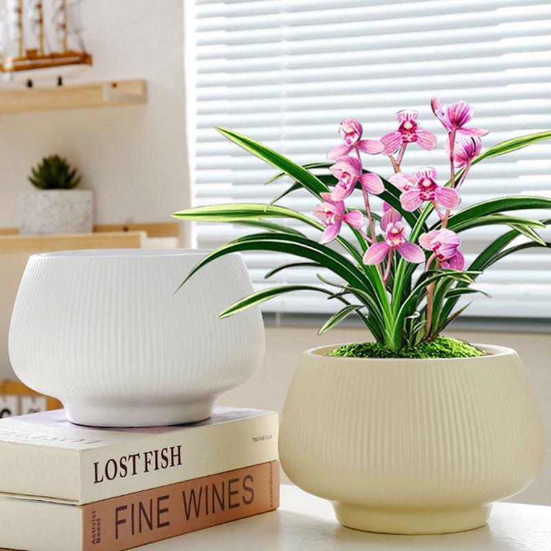 Ceramic Flower Pot with Tray for Orchids and Succulents