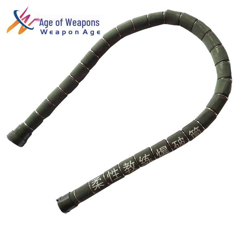 Flexible Training Detonator Model Standard