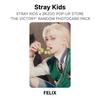 Stray Kids x SKZOO POP-UP STORE 'THE VICTORY' RANDOM PHOTOCARD PACK Official Photocard