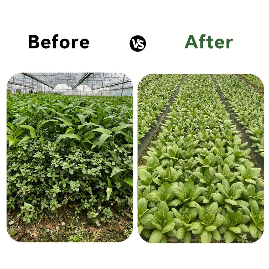 Tejido Perforado Resistente para Barrera de Malezas Ideal para Jardín, Huerto, Frutal y Patio - Suprime las Malezas, Transpirable, Permeable al Agua