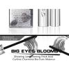 QiBest Makeup Silver Tube Big Eyes Mascara Long, Curly, Waterproof and Non-Smudge