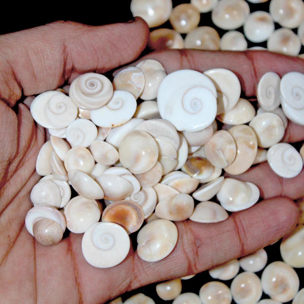 Crystal Mineral | Gemstone Jewelry | Shiva Eye | Shiva Eye Gemstone | Shiva Eye Cabochon | Shiva Eye Jewelry | Shiva Eye Ring | Wholesale