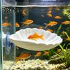 Suction Cup Fish Bed Betta Hammock Shell, with Cup, Resting Comfort Platform, Aquarium Accessory for Sleeping Hiding Playing