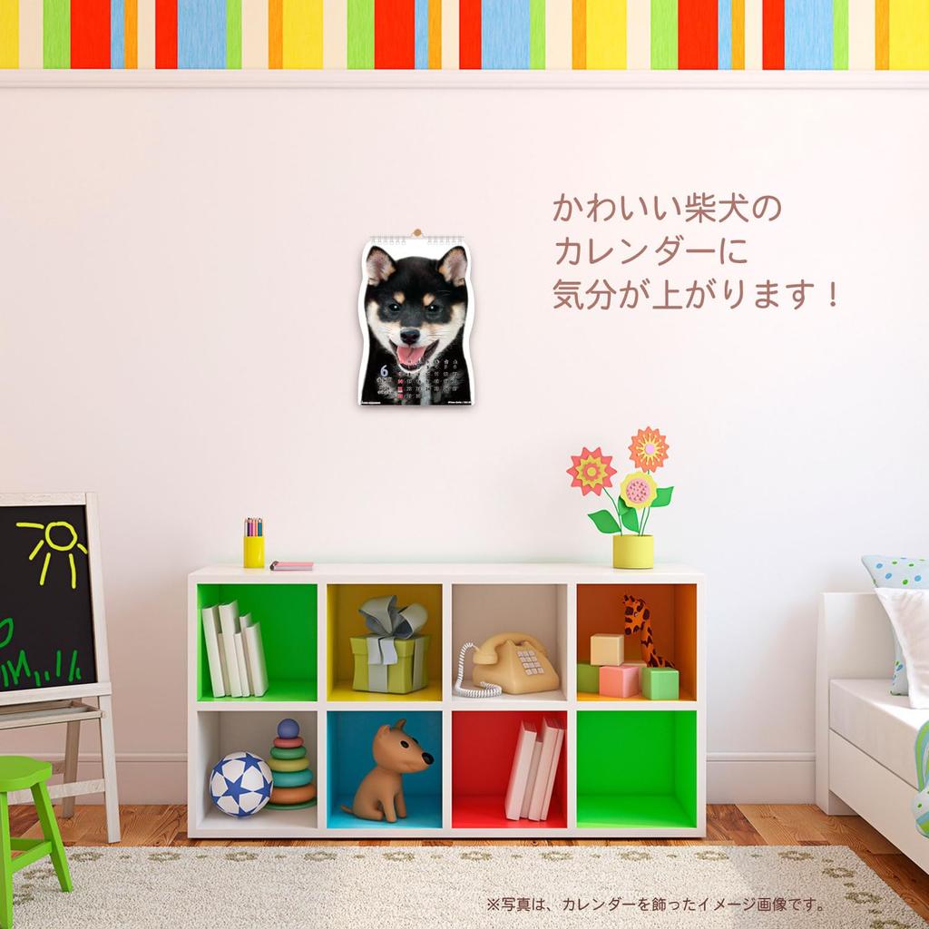Active Corporation 2026 Shiba Inu Wall Calendar Starts January 2026 (26ACL-65)