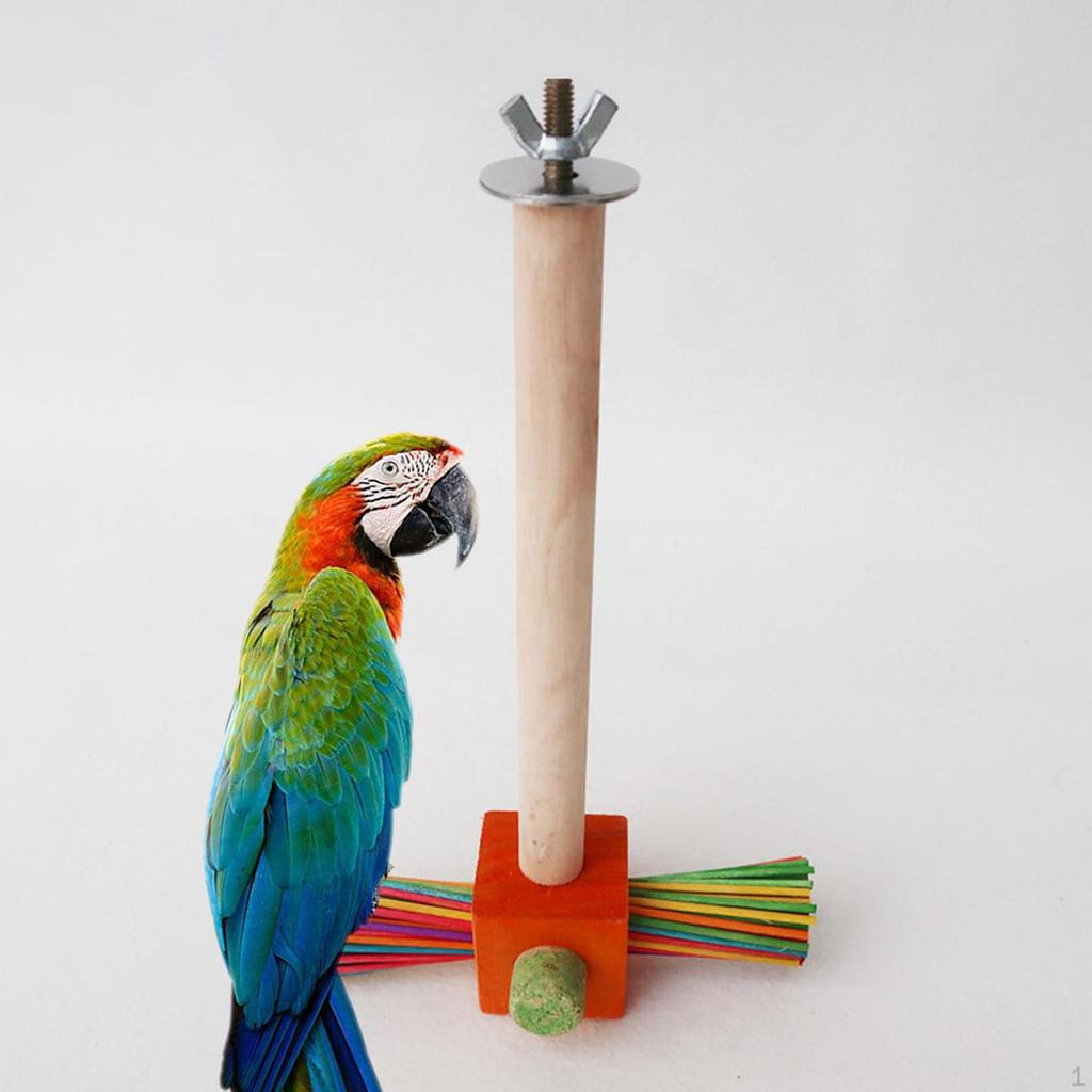 Birds Parrot Perch Bird Stands Wood Climbing Branches Station Pole Tabletop for Lovebirds
