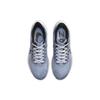 Nike Air Zoom Pegasus 39 Ashen Slate
