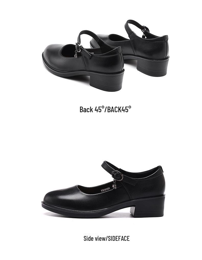 Red Dragonfly Women's Genuine Leather Mary Jane Loafers - Chunky Heel, Shallow Cut, Perfect for Spring and Autumn.