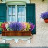 Artificial Green Plant Fake Flower Lavender Simulated Green Plant Home Decoration Plant Outdoor Pastoral Style Bundle