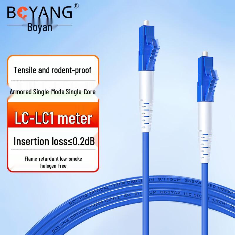 

Boyang LC-LC Armored Single-Mode Fiber Patch Cable