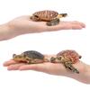 TOYMANY Animal 6 Pieces Turtle Marine Animal Realistic Animal Turtle Popular Birthday New Ages 6 and Up Figures, Figures, Set, Model, Lover, Animal,
