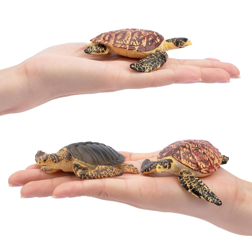 TOYMANY Animal 6 Pieces Turtle Marine Animal Realistic Animal Turtle Popular Birthday New Ages 6 and Up Figures, Figures, Set, Model, Lover, Animal,