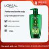 L'Oréal Tea Tree Anti-Dandruff & Oil Control Shampoo
