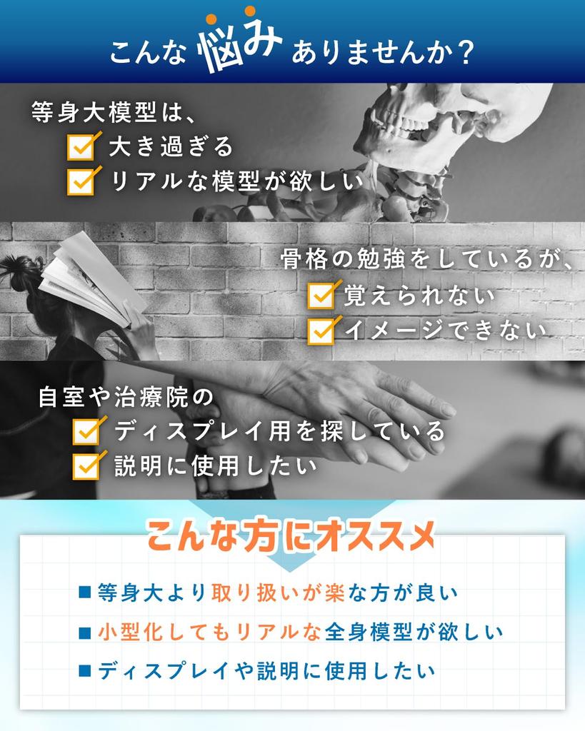 KIYOMARU Realistic and Reproducible Size Full Body Skeleton Human Body Bone Supervised by a Physical Approximately Skeletal Skeleton Movable Large