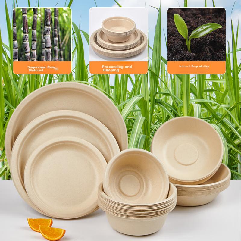 Sugarcane Pulp Paper Plates, Bowls, Disposable Tableware, Waterproof And Oil-Resistant, Natural Color, Round Plates, 10 Inches, Pack of 20