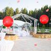 Leitee 2 Pcs 72 Inch Giant Balloons Round Latex Large Human Egg Jumbo Balloons Inflatable Air Decorations for Birthday Party Wedding Engagement(Red)