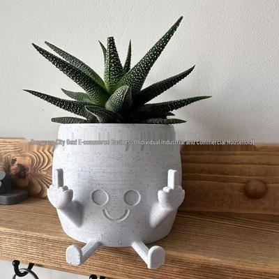 Middle Finger Succulent Planter - Cross Resin Handicrafts for TV Cabinets, Bedrooms, Courtyards
