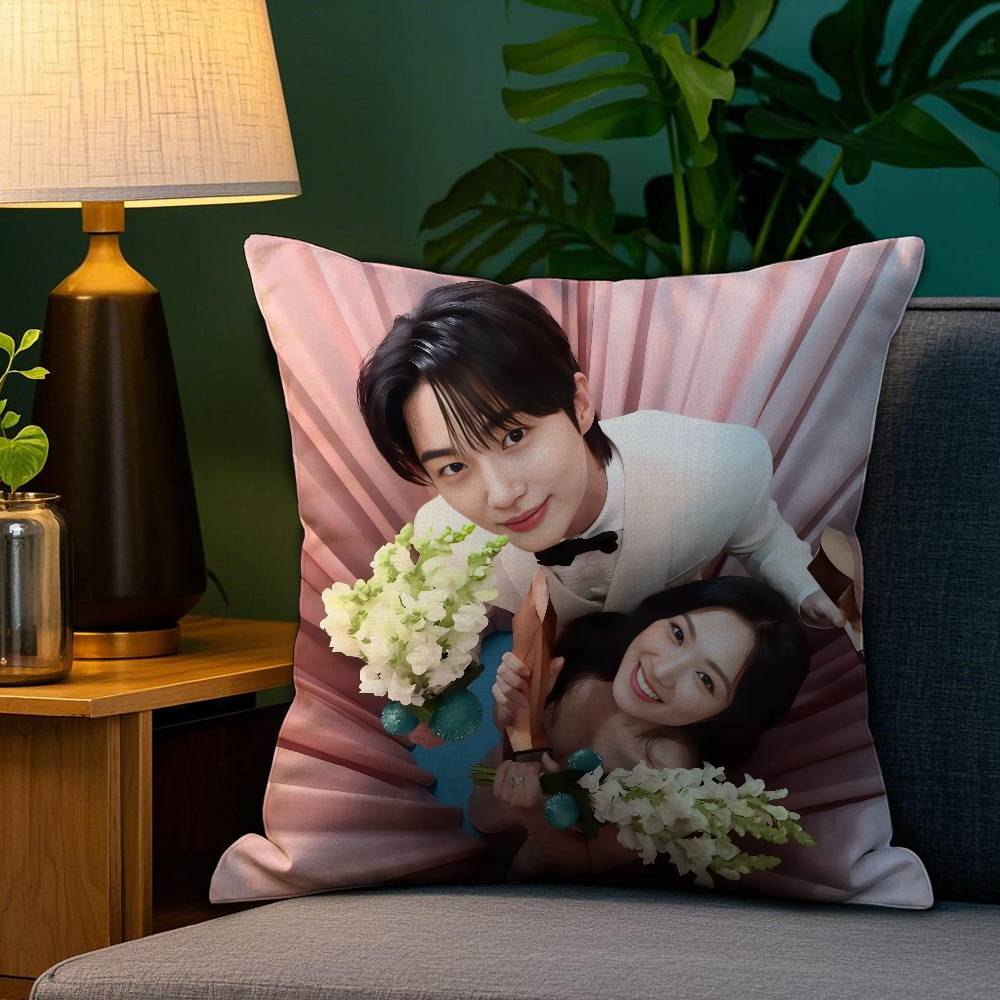 Tv Series L-Lovely R-Runners Pillow Case Anti-Dustmite Pillowcase Invisible Zipper Silky Short Plush Sofa Cushion Cover