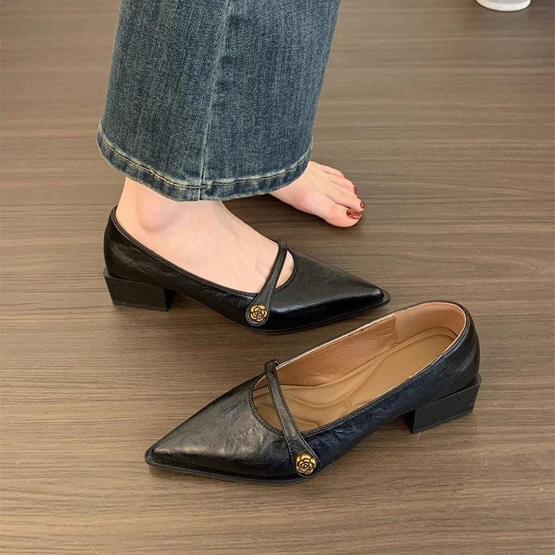 Pointed head shallow mouth single shoes women's middle heel 2025 new French retro commuter brown thick heel Mary Jane small leather shoes