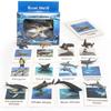 Children's Educational Learning Cards: 12 Types of Hand-Painted Dinosaur and Marine Animal Models