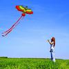 1 Pcs Parrot Kite Small Children's Animal Cartoon Kite Outdoor Toy Kite Children's Toy