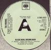 7inch Record TAJ MAHAL  Black Man Brown Man SCBS4337PROMO CBS 1976 UK Rock Used