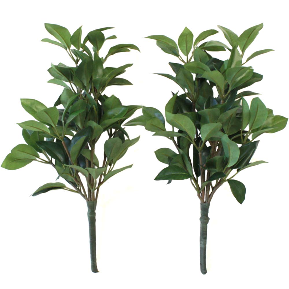 

Yamakyu Artificial Flowers for Offerings to Small CT Catalyst Silk Flowers Buddha, Shikimi, Shikibi, Oshikimi, Shikimi, Pair, 35cm, Processing, зелёный