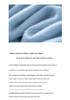 Women's Pure Cashmere Long-Sleeve Round Neck Pullover Sweater - Warm, Soft, Solid Color Base Layer