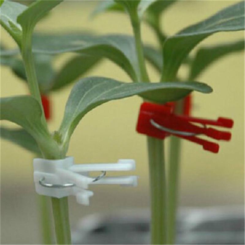 100 шт. Пластиковые клипсы для прививки Садовые Растения Овощи Плоские и Круглые A