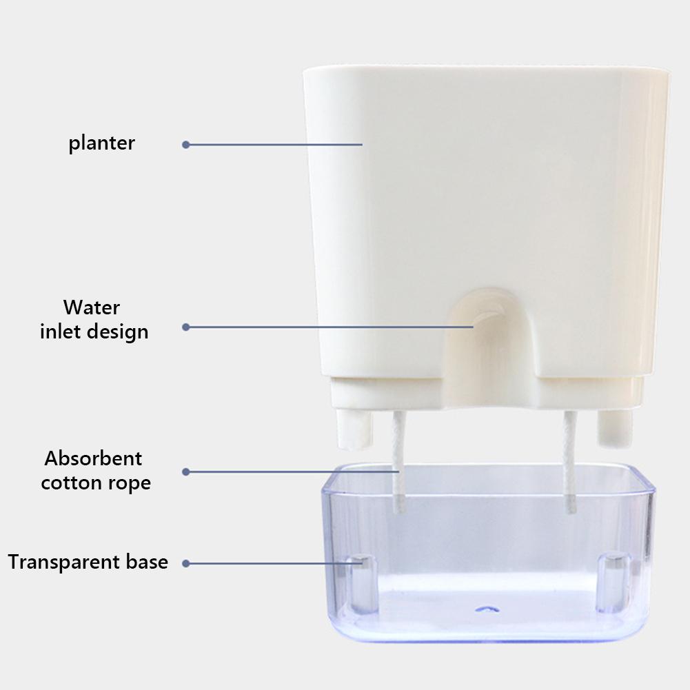 Self Watering Plant Pot Self Watering Planter with Cotton Rope Transparent Flower Pot with Visible Reservoir for Indoor Plants