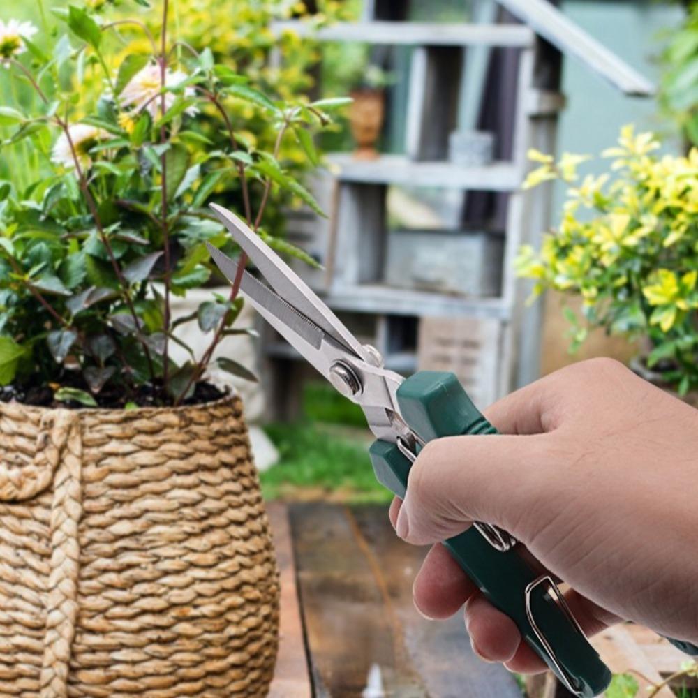 Edelstahl Geradkopf Gartenschere 190mm Bonsaischere Beschneidewerkzeuge Pflanzenschnitt