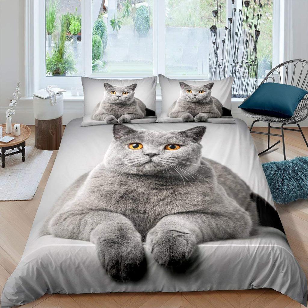 Set Copripiumino Gatto Carino Misura Queen per Ragazze Kawaii Gattino Set Biancheria da Letto Farfalle Blu Copripiumino Adorabile Animale Coperta Trapuntata
