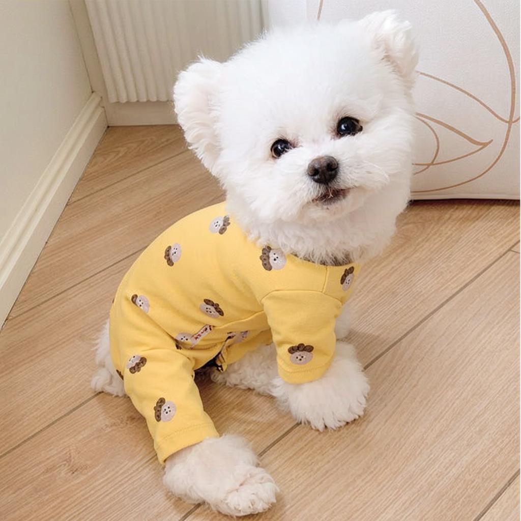 Dog And Cats Universal Fashionable Pajamas For Pet
