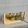 Wear-resisting Parrot Perch Stand Natural Wooden Bird Standing Holder  Bird Cage Accessories