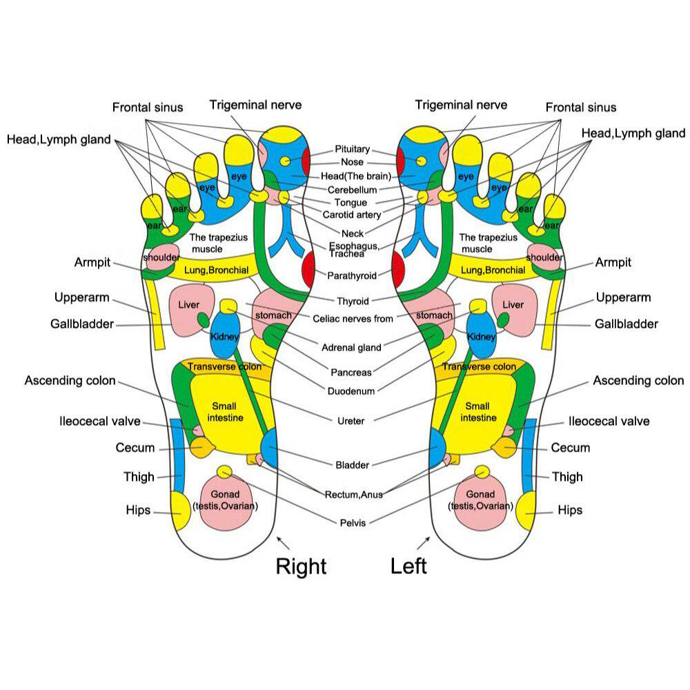 1 stk fotakupunktur massasjepute soneterapi brosteinsmassasjepute for avslappende fotmassasje