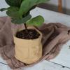 Cement Vase Ornament Imitation Paper Bag Hydroponic Flower Holder Flowerpot  Balcony