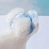 Summer Dog Cap Dogs Accessories Apparels Supplies Costume Hat Clothes Caps Pet Helmet Hats Products Puppy Grooming