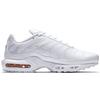 Nike Air Max Plus Triple White AJ2029-100