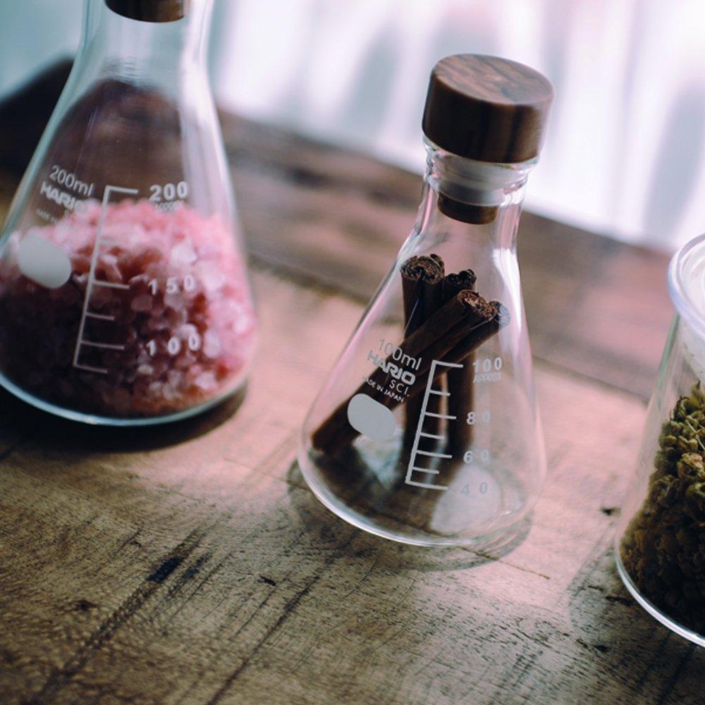 HARIO Erlenmeyer Flask Storage L Clear SFS-L