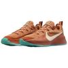 Nike LeBron Tr 1 Better With Age Sneakers FJ6151-200