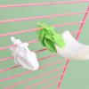 6 Stück Mini-Vogelfutterhalter Kunststoff Papageien Obst-Gemüse-Klemme Sepiaschale Futterspender Große Käfige